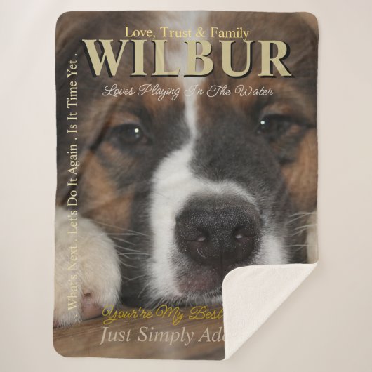 Couverture Sherpa Votre Animal De Compagnie L'Étoile Ils Sont Style  (Devant)