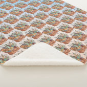 Couverture Sherpa Voyage (3/4)