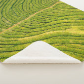 Couverture Sherpa Vue aérienne du champ vert ouvert (3/4)