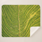 Couverture Sherpa Vue aérienne du champ vert ouvert (Devant (Horizontal))