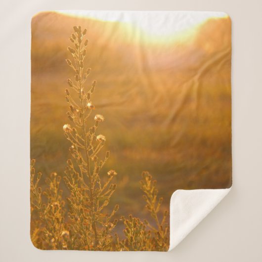 COUVERTURE SHERPA WARM SHOT OF MEADOW GRASS (Devant)