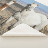 Couverture Sherpa Wild Horses at Home in the Sandwash Basin (3/4)