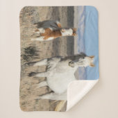 Couverture Sherpa Wild Horses at Home in the Sandwash Basin (Devant)