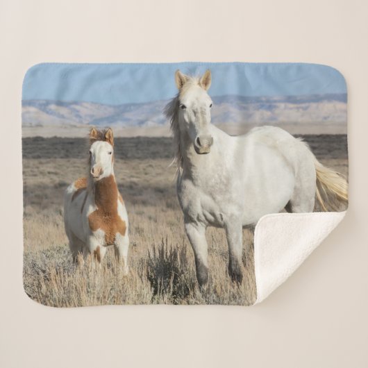 Couverture Sherpa Wild Horses at Home in the Sandwash Basin (Devant (Horizontal))