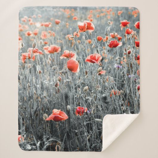 Couverture Sherpa Wildflowers poppies (Devant)