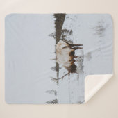 COUVERTURE SHERPA WINTER LANDSCAPE WITH A DEER (Devant (Horizontal))