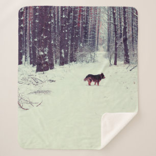 Couverture Sherpa Winter snowy pine forest, dog walking in the fores