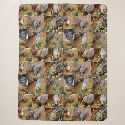Couverture Sherpa Wombat photo collage (Devant)