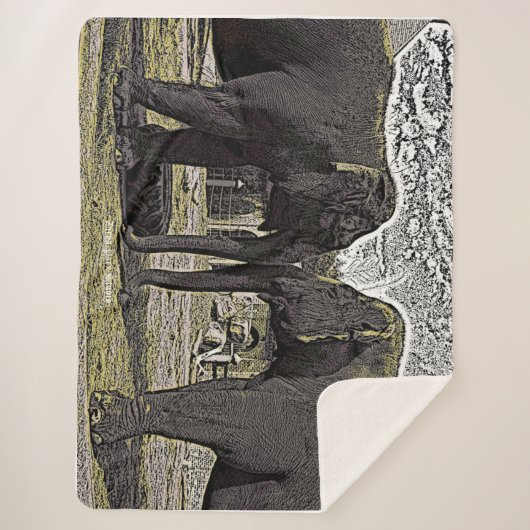 Couverture Sherpa Yeux éléphants (Devant)