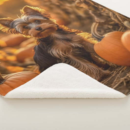 Couverture Sherpa Yorkie Pup (3/4)