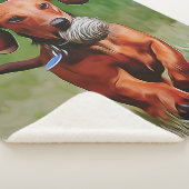 Couverture Sherpa You Should See My Wiener Is Action Poster (3/4)