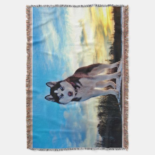 Couverture Sibérien Husky (devant Vertical)