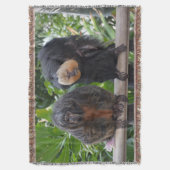 Couverture Singes Saki (devant Vertical)