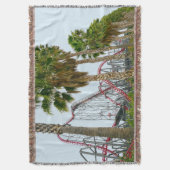 Couverture Six Flags Magic Mountain (devant Vertical)