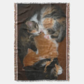 Couverture Sleepy kittens (devant Vertical)