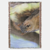 Couverture Snacks ? J'AIME les snacks ! (devant Vertical)