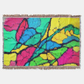 Couverture Springfield (Devant)