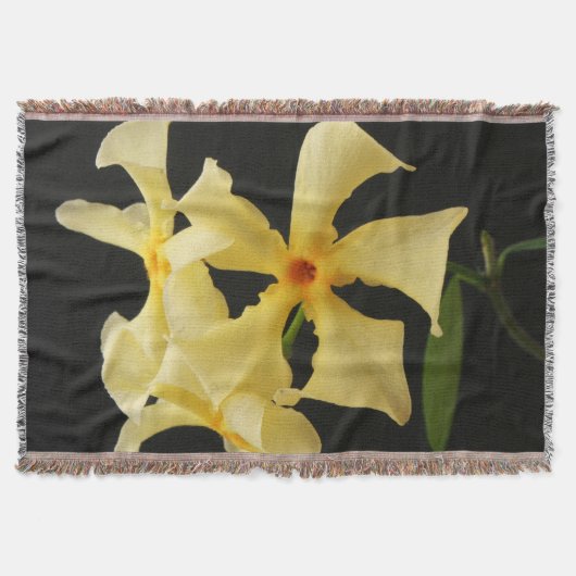 Couverture Star Jasmine Flower tbcnm (Devant)