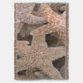 Couverture Starfish partout (devant Vertical)