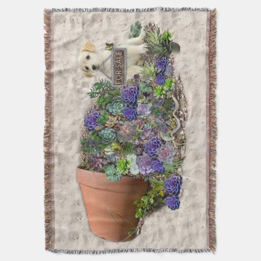 Couverture Succulents à vendre (devant Vertical)