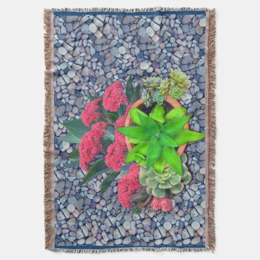 Couverture Succulents sur un lit de rivière (devant Vertical)