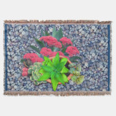 Couverture Succulents sur un lit de rivière (Devant)