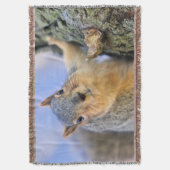 Couverture Super mignon (devant Vertical)