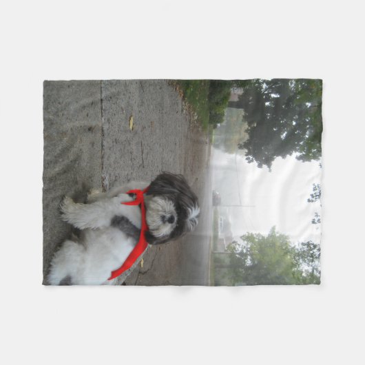 Couverture superbe de chiot d'animal familier (Devant (Horizontal))