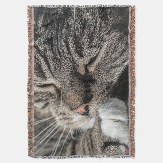Couverture Tabby (devant Vertical)