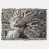 Couverture Tabby (Devant)