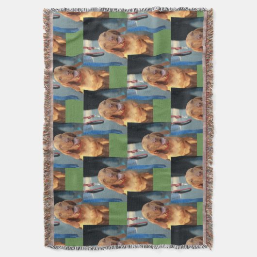 Couverture tan vizsla hound chien portrait heureux (devant Vertical)