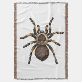 Couverture Tarantula (devant Vertical)