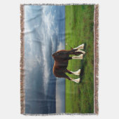 Couverture Tempête de Clydesdale (devant Vertical)