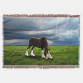 Couverture Tempête de Clydesdale (Devant)