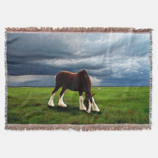 Couverture Tempête de Clydesdale (Devant)