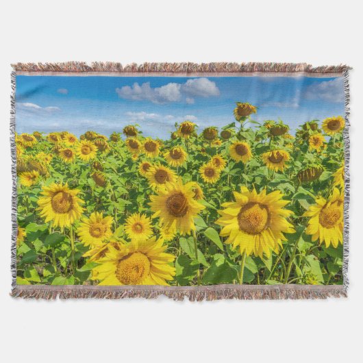 Couverture Terrain de tournesol, ensoleillé l'été. (Devant)