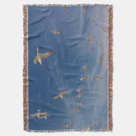 Couverture Terres (devant Vertical)