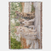 Couverture Three young cute cat kittens sit friendly together (devant Vertical)