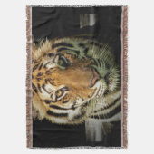 Couverture tigre (devant Vertical)