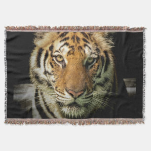 Couverture tigre