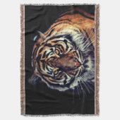 Couverture Tigre (devant Vertical)