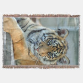 Couverture Tigre 034 (Devant)