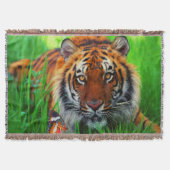 Couverture Tigre 1 Pouverture à lancer (Devant)