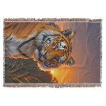 Tigre au coucher du soleil