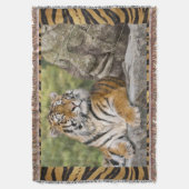 Couverture Tigre et Bouddah (devant Vertical)