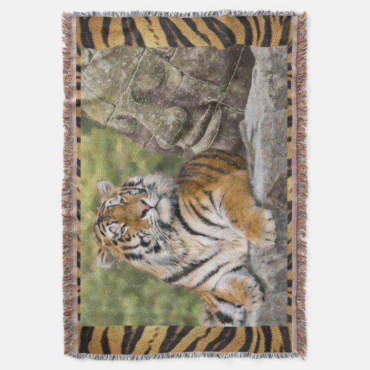 Couverture Tigre et Bouddah (devant Vertical)