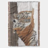 Couverture Tigre Et Cub (devant Vertical)