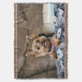 Couverture Tiny dynamo (devant Vertical)