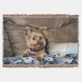 Couverture Tiny dynamo (Devant)