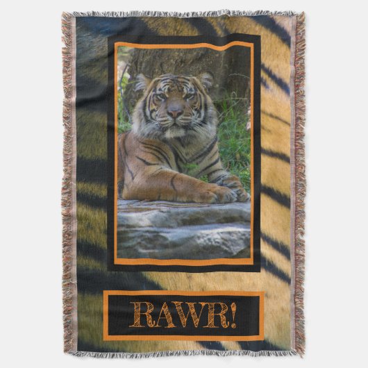 COUVERTURE TONY (devant Vertical)